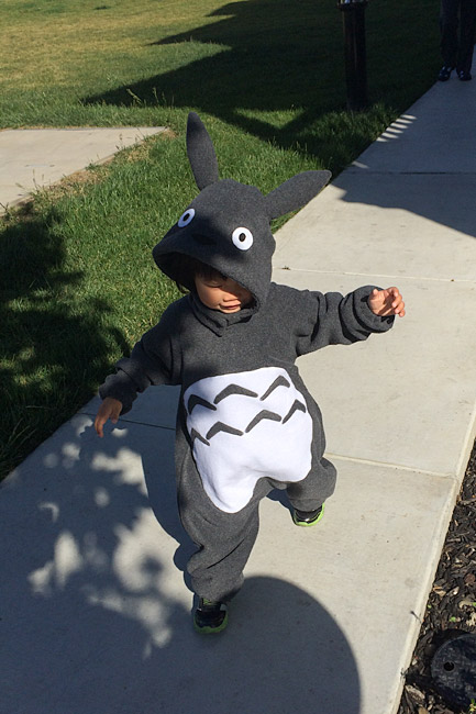 Totoro Kid Costumes