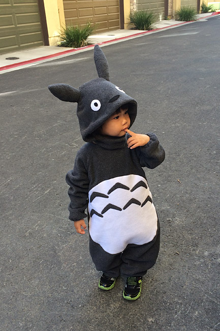 Totoro Kid Costumes